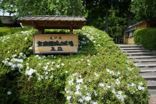 渡島遠征記（２５） ～根城～