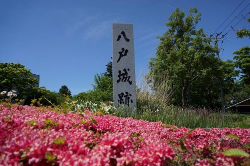 渡島遠征記（最終回） ～八戸城～