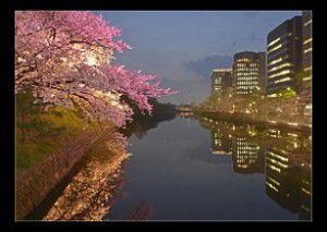 第5回福岡城彩発見フォトコンテスト 入賞・入選作品