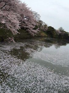 福岡城のお堀の痕跡を探してみませんか？