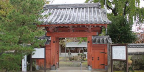 丸尾城と島原・本光寺～深溝松平家ゆかりの地も展示物が大変貴重