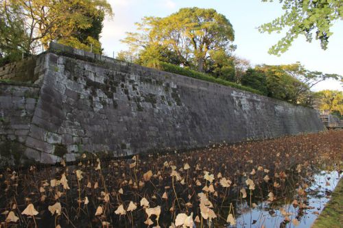 島津忠恒と鹿児島城(鶴丸城)～初代薩摩藩主・島津忠恒のその生涯は？