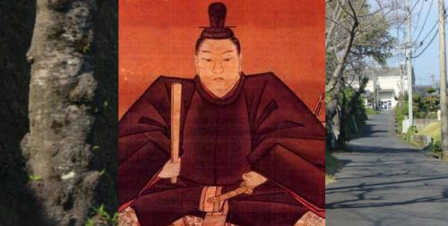 島津義久とは～耳川の戦いの詳細や富隈城と国分城も