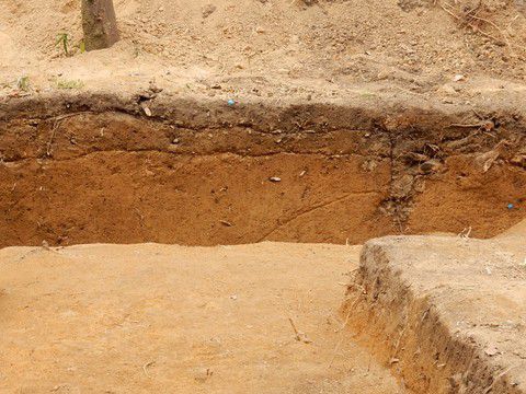 飯盛城　現地説明会
