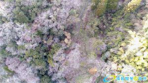 古戦場 大野川の滑瀬 武家屋敷 Vol.12 岡城跡 天空の城 九州竹田城 20170328