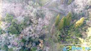 古戦場 大野川の滑瀬 武家屋敷 Vol.13 岡城跡 天空の城 九州竹田城 20170328