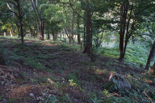 波乱に満ちた井伊氏の歴史は井伊谷城（いいのやじょう）と共にあった！
