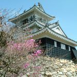 浜松城