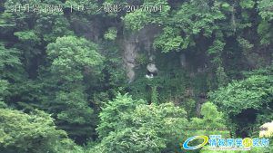 三日月岩 岡城 ドローン撮影 Vol.2 20170704