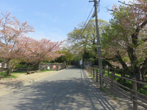大和郡山城の写真一覧