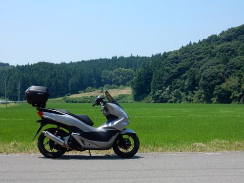 白河小峰城から国道294号線