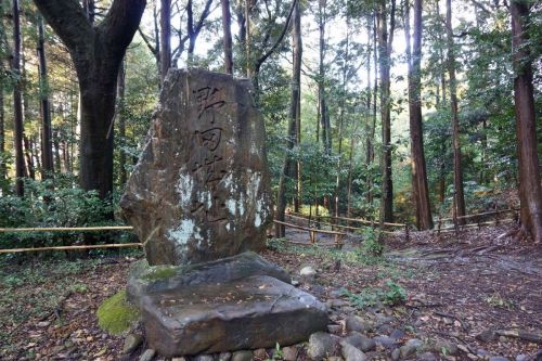 美濃・尾張・三河遠征記 （３２） ～野田城～