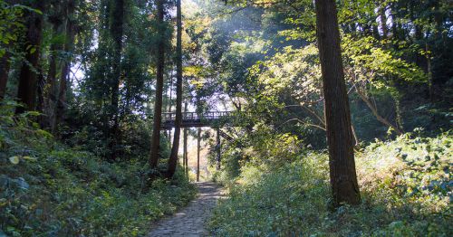 関東屈指の土の城　北条氏の巧みな縄張りが残る滝山城