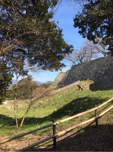 城を観る《彦根城》