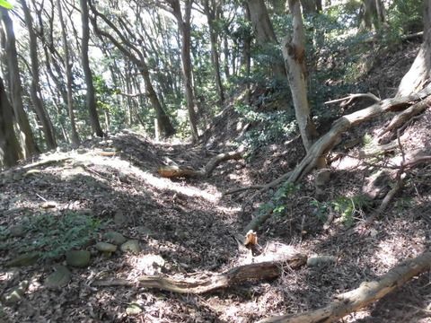 社山城跡　つづき