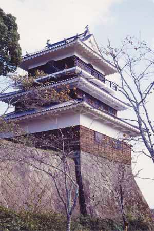岡城 天守閣 カラー写真