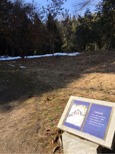 城を観る《苗木城》