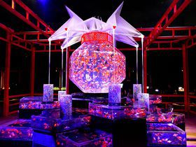 二条城でアートアクアリウム！金魚が舞う京都は最高に幻想的｜京都府｜トラベルjp＜たびねす＞