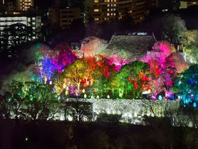 「福岡城」を包む芸術の光！チームラボが手がけるデジタルアートが美しすぎる｜福岡県｜トラベルjp＜たびねす＞