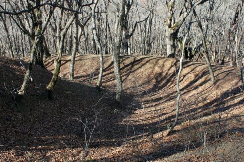 御坂城登城！ 幻の山城を求めて～  2017.11.12 其の二（完）
