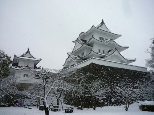 伊賀上野城登城！ 日本百名城35城目 2011.2.11