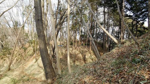 2017年1月29日 滝山城跡下草刈り 「本丸・出丸から滝集落への通路」いいね！枡形虎口