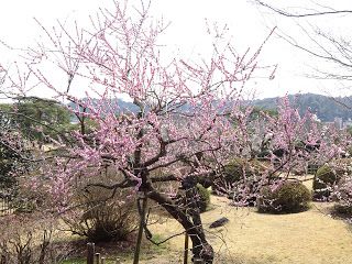 水戸市を観光、水戸城をお城巡り！