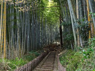 佐倉市を観光、佐倉城をお城巡り！