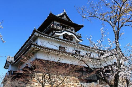 犬山城登城！  日本百名城42城目  2011.3.31