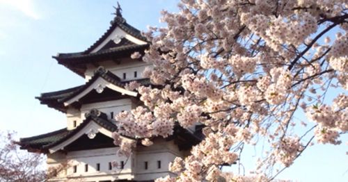 今年のゴールデンウィークはどこの城に行く？桜と城を見るなら！人混みが苦手なら！建造物を楽しみたいなら！オススメの１１選