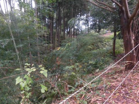 静岡県島田市　諏訪原城跡　続日本１００名城