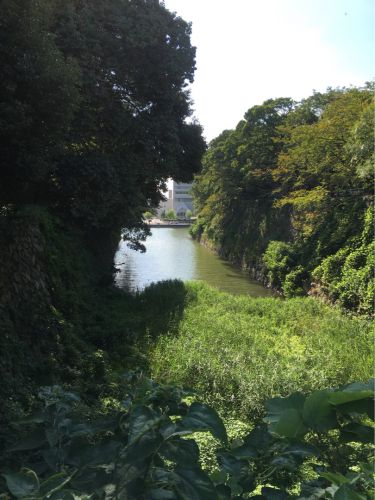 城を観る《名古屋城》