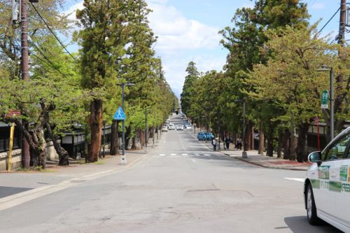 春の遠征　弘前城長勝寺構