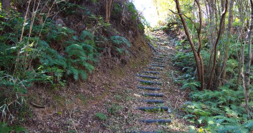 井伊氏西方最大の拠点 千頭峯城は整備良好で見どころ満載の山城