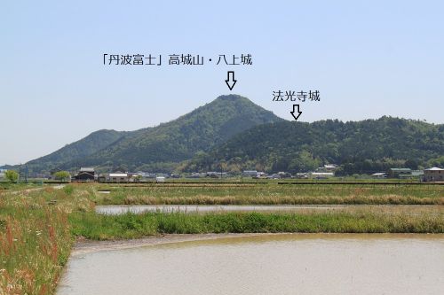 丹波　八上城　 「丹波富士」高城山の巨大城郭