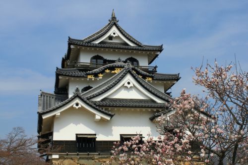 彦根城登城！ 日本100名城 46城目 奇跡の現存天守と伝説の招き猫を求めて～
