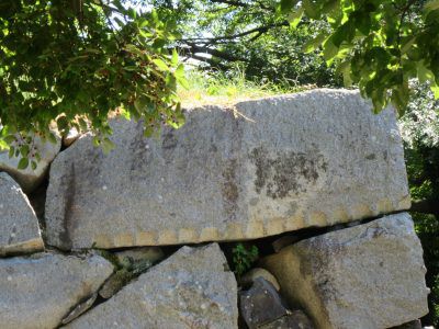 福岡城で「夏休みの課題」大作戦？