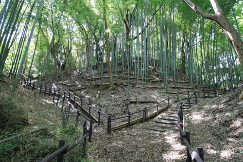 小机城登城！続日本100名城 9城目 竹林に佇む空堀＆土塁～