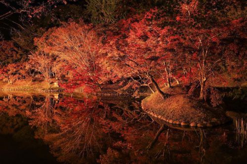 紅葉が色づく岡城家老の別荘庭園 用作公園 Okajou castle Chief retainer&rsquo;s villa garden