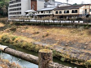城下町たけた『竹ほたる』の時期になりました！