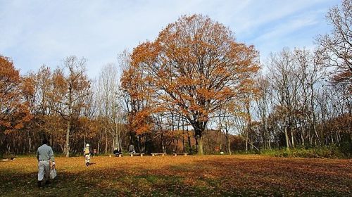2018年12月16日 滝山城跡景観維持･回復作業「残念な通行禁止エリア 本丸直下 腰曲輪」