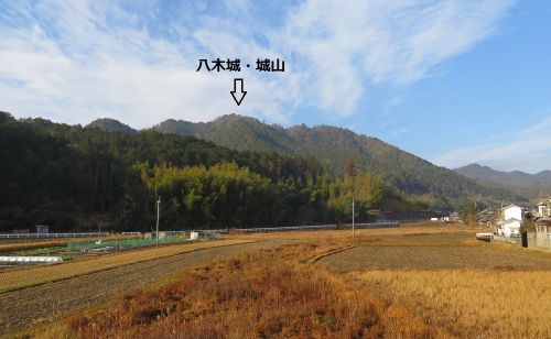 丹波　八木城　 丹波最大級の山城へ登りました