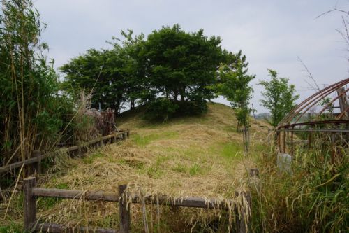 南紀南勢遠征記（３０） ～松ヶ島城～