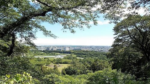 2019年6月16日 滝山城跡景観回復・維持作業 「前に出すぎは転落注意！」 