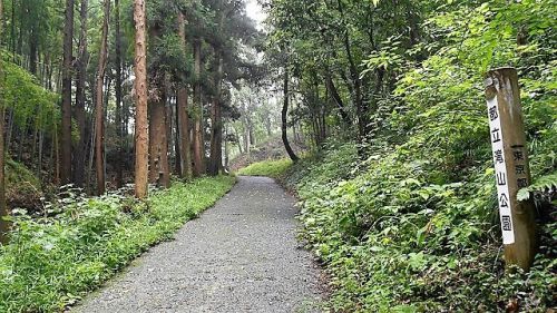 滝山城跡 景観回復･維持作業「またここに戻ってくるぜよ」2019/7/21