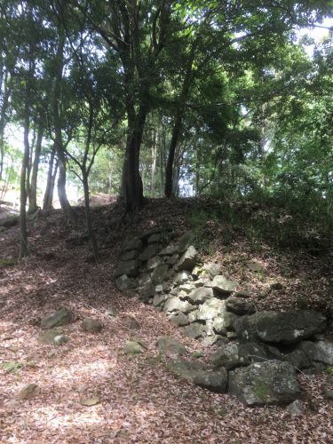 城を観る《金山城（美濃国）》