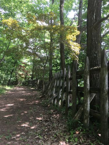 城を観る《明智城（美濃国）》