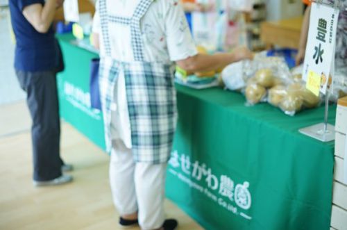 今まさに旬！「浮城の梨」！！