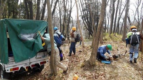 2019年2月17日 滝山城跡景観回復作業「やろうと思っていたらやられてしまった」