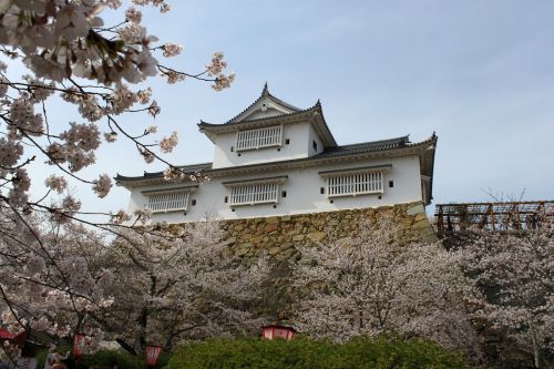 津山城登城！日本100名城54城目　　　　　  　　一二三段の高石垣に魅せられて～其の一